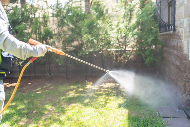 Spider Control Near Me in Beaver, WV