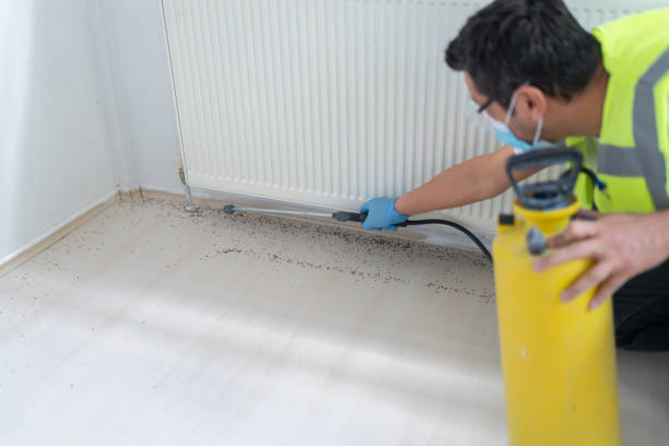 Best Flea Control Services  in Beaver, WV