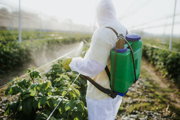 Best Insect Control  in Beaver, WV